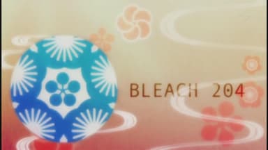 Bleach 1x204