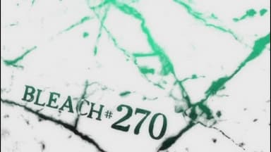 Bleach 1x270
