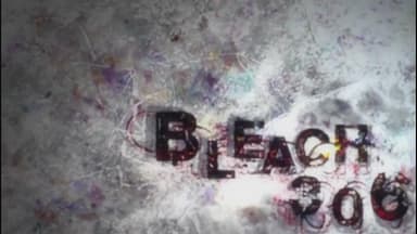 Bleach 1x306