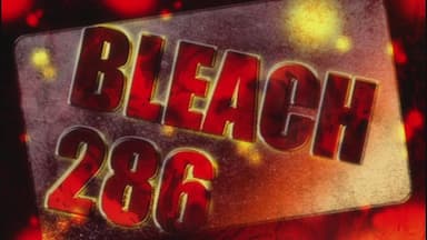 Bleach 1x286