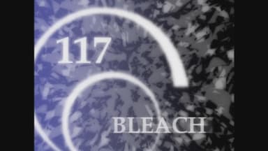 Bleach 1x117