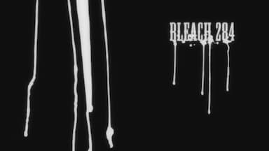 Bleach 1x284