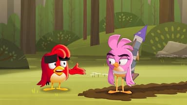 Angry Birds: Locuras de verano 1x9