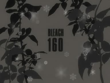 Bleach 1x160